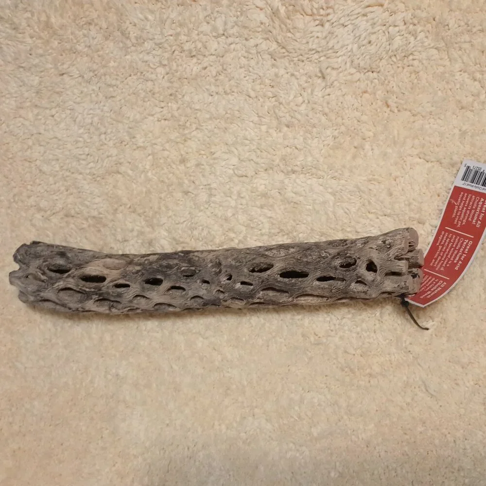 Galapagos Cholla Wood Branch Terrarium Natural Accessory, Regular 12 inches long